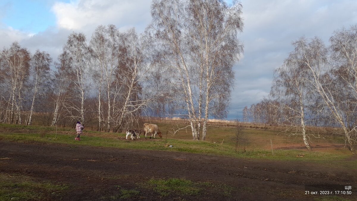 сейчас горит дальний план
