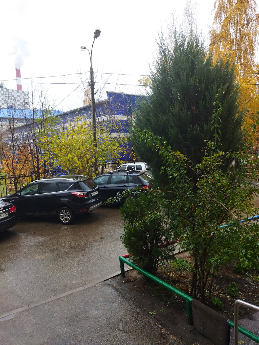 Фото автора. Прогулялась под зонтом, но надолго меня не хватило) 