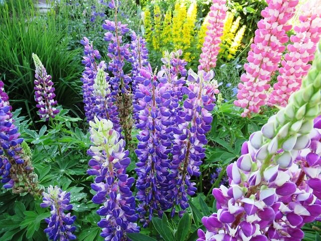 Отзывы сельскохозяйственных производителей