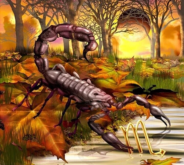 Права Скорпиона... 