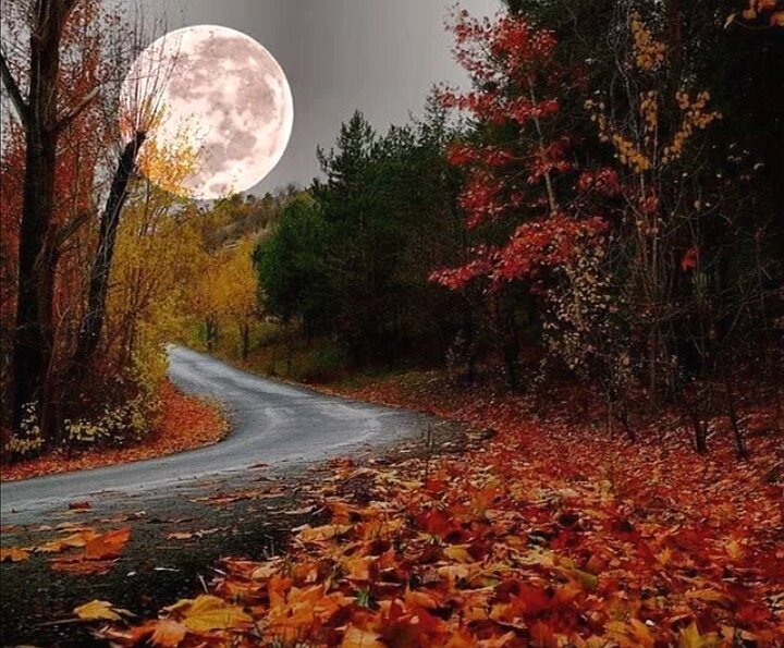 Полнолуние осени... 