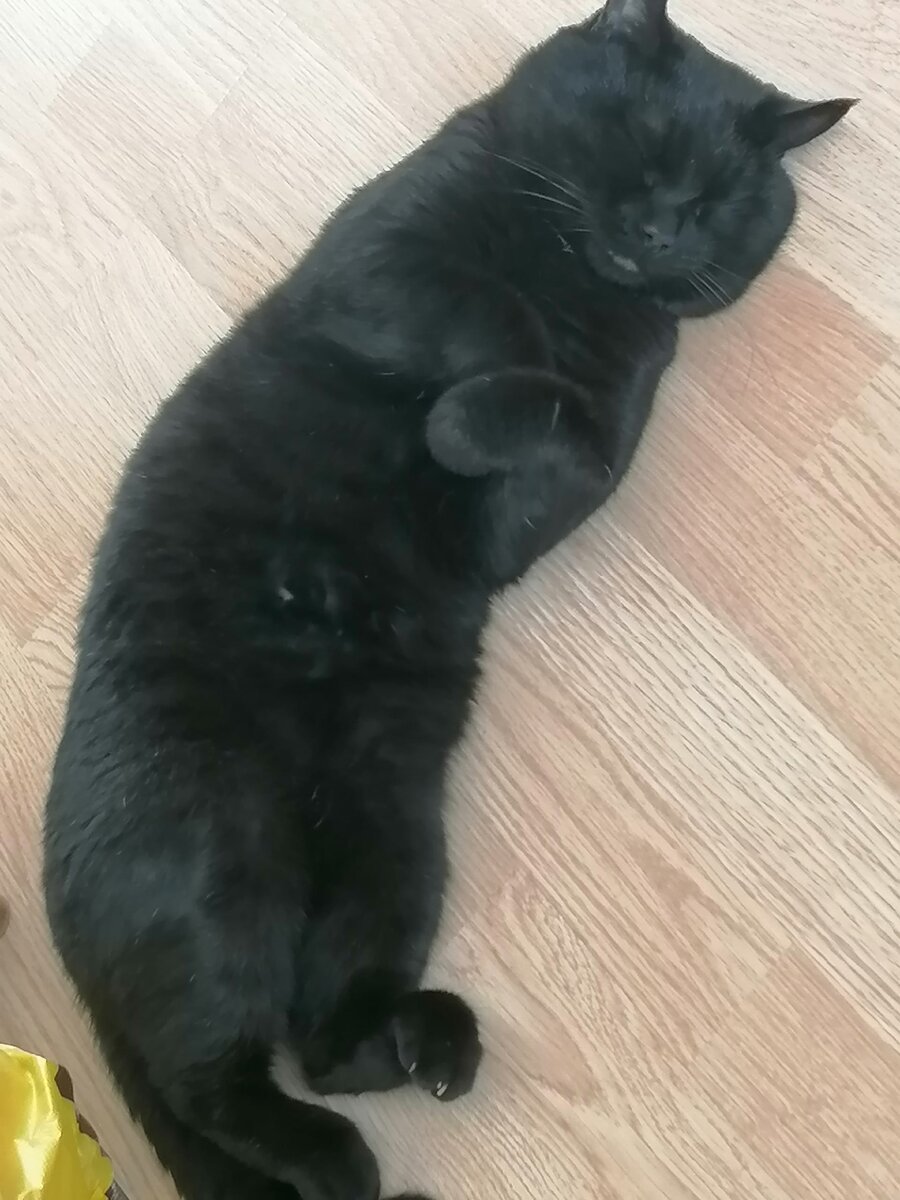 Мальчик не понимает, зачем поднимать панику из-за какой-то там рыбы