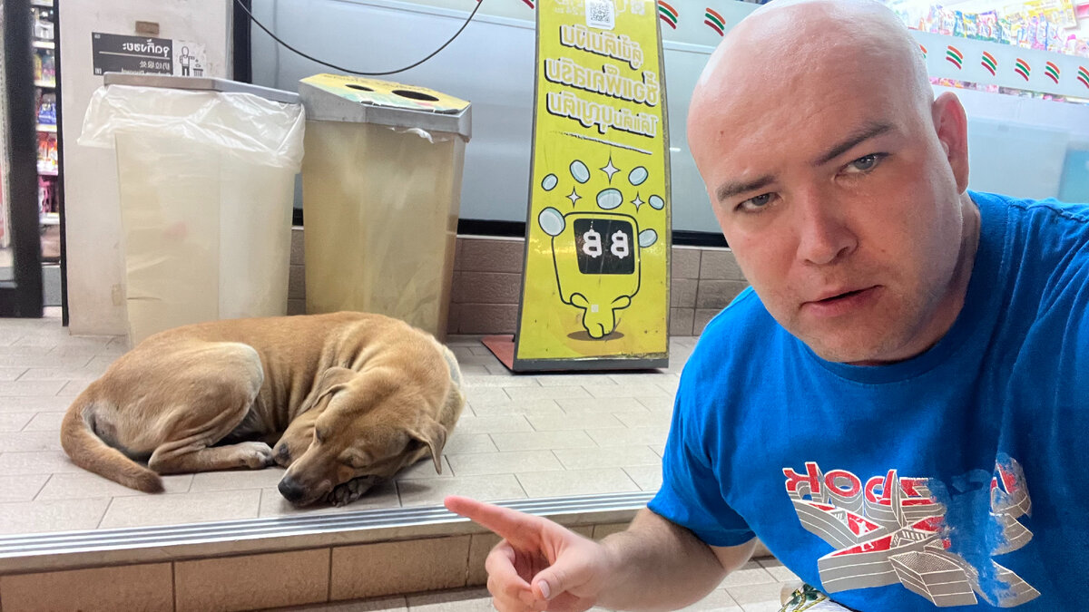 Не только собака поддается дрессировке.