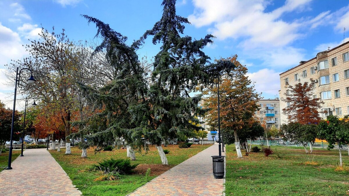 Авторское фото