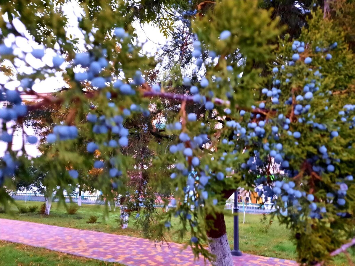 авторское фото