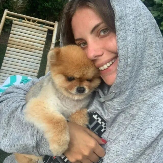 Фото с яндекса