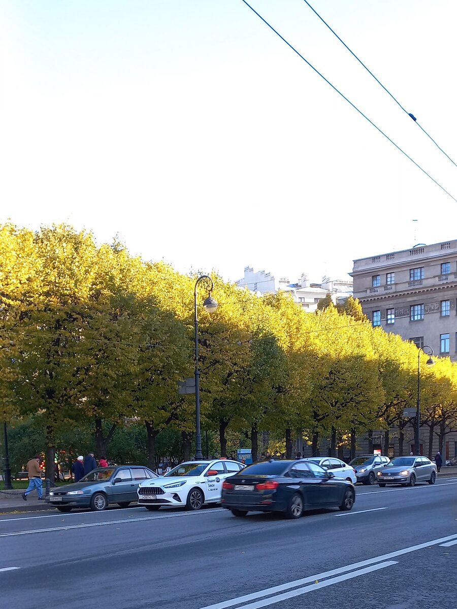 Петроградская сторона