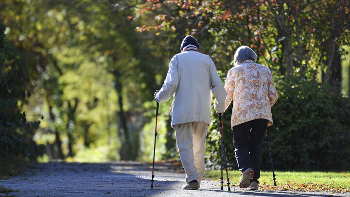 ФОТО: FRANKHOERMANN/GLOBALLOOKPRESS