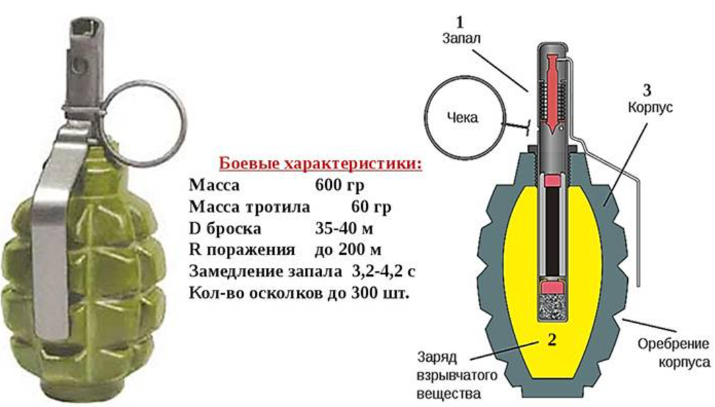 Масса 1 гранат. Ф1 граната радиус осколков. Составные части гранаты ф1. Радиус поражения гранаты ф1. Граната Лимонка ф1 характеристики.