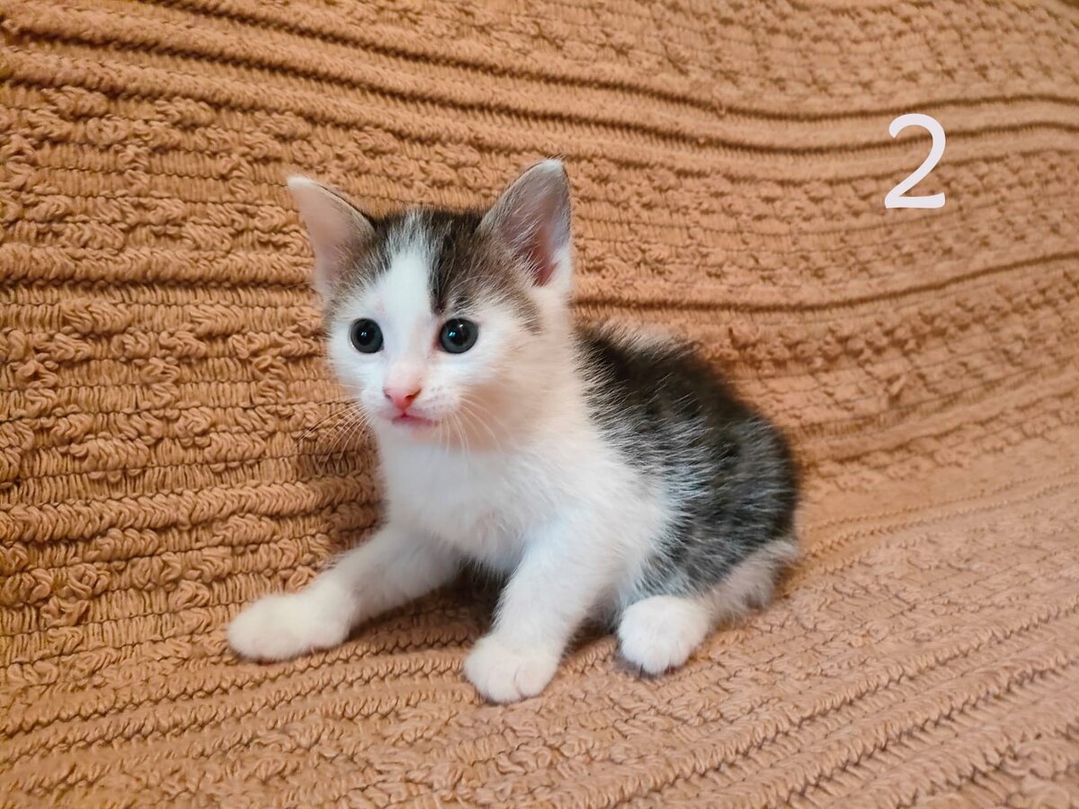 -2-3