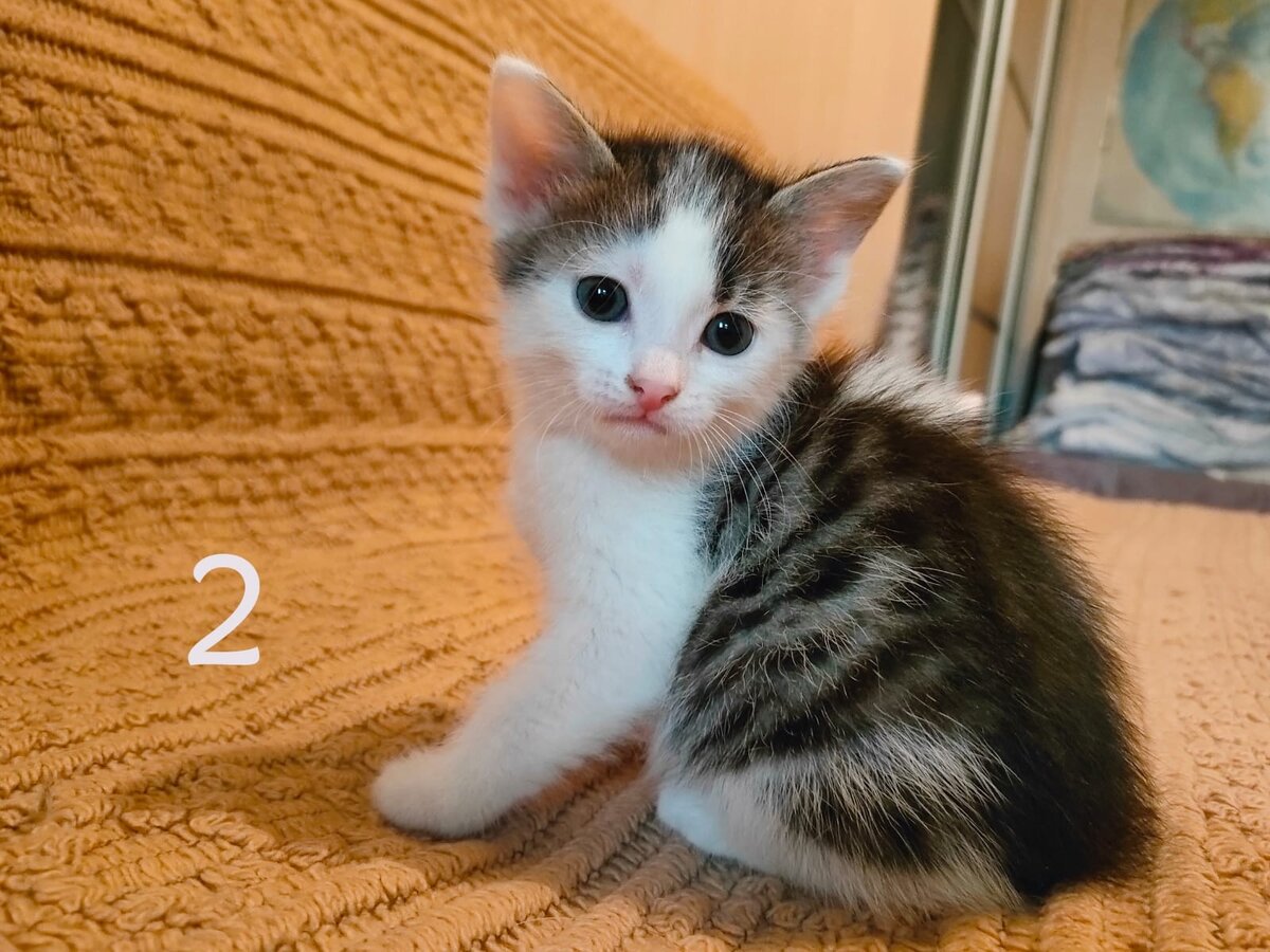 -2-2