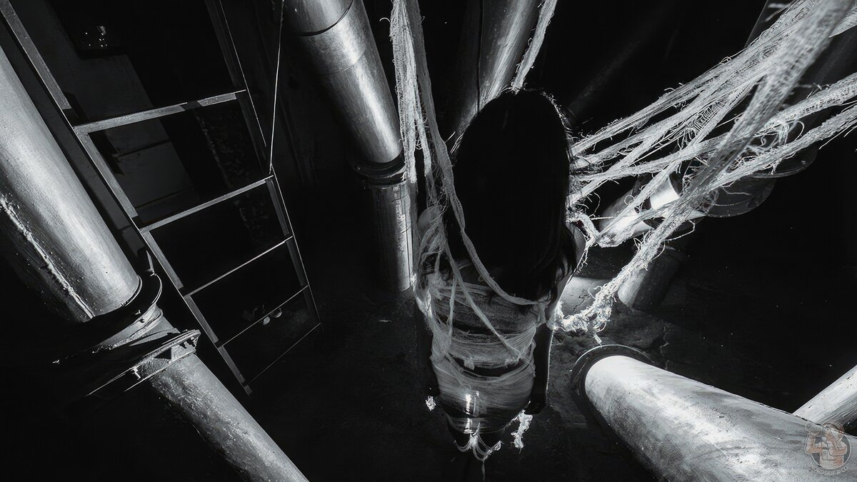 Фото №1 — Девушка на заброшенном заводе