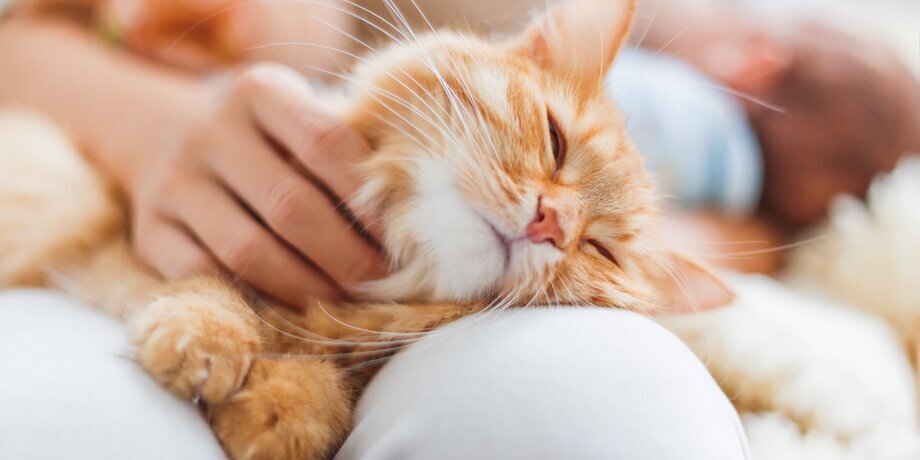 Фото: 123RF/aksenovko 