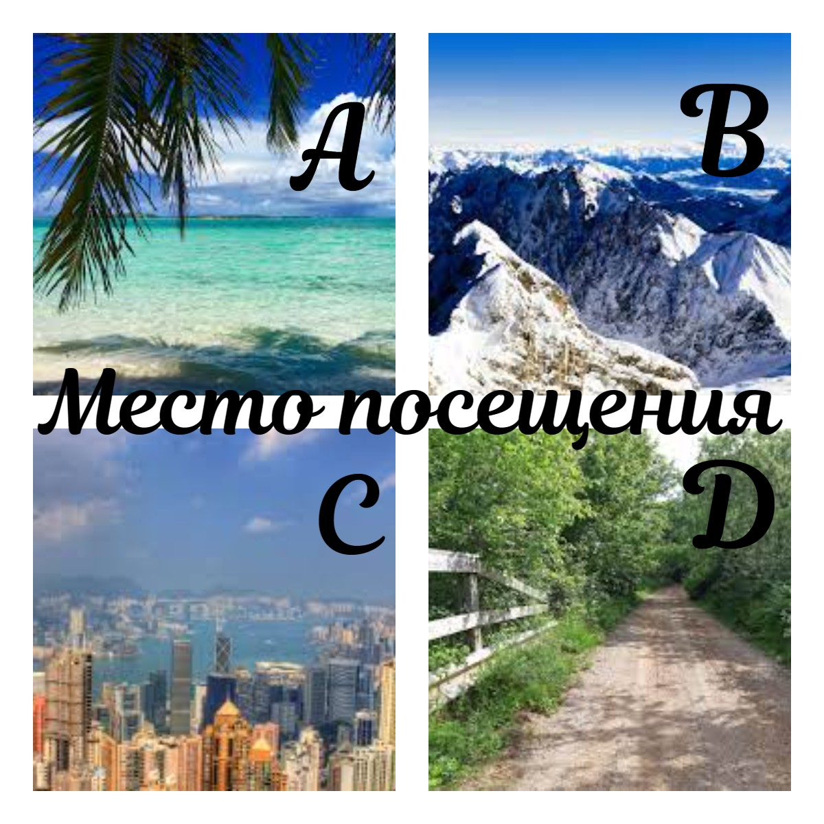 Какое место для посещения бы выбрали?