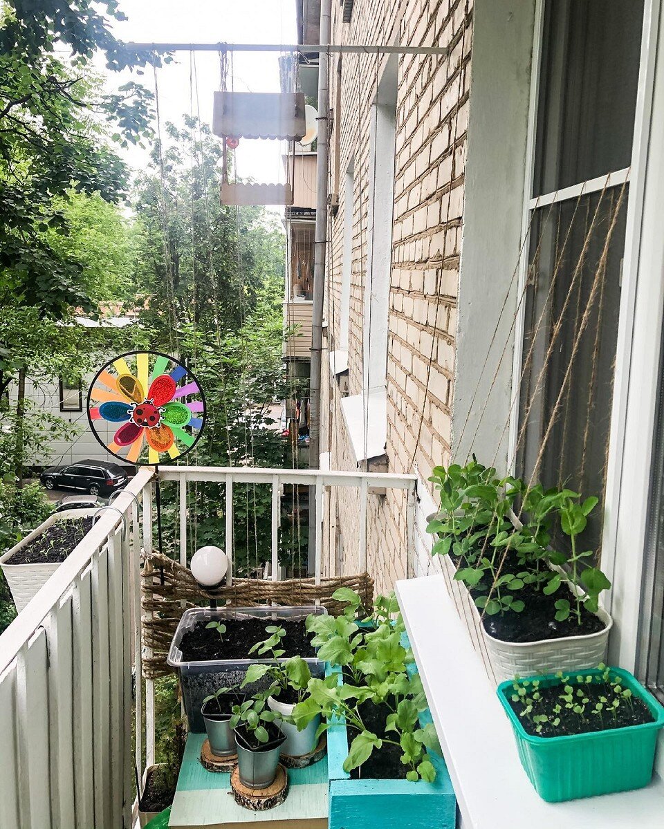    Соцсети блогера hrush_na_troix