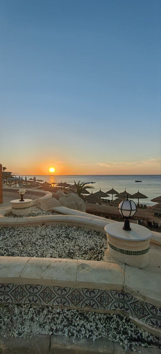 Мошенники мечтают о такой жизни ( пляж, берег моря, пальмы) вот и "работают" в поте лица