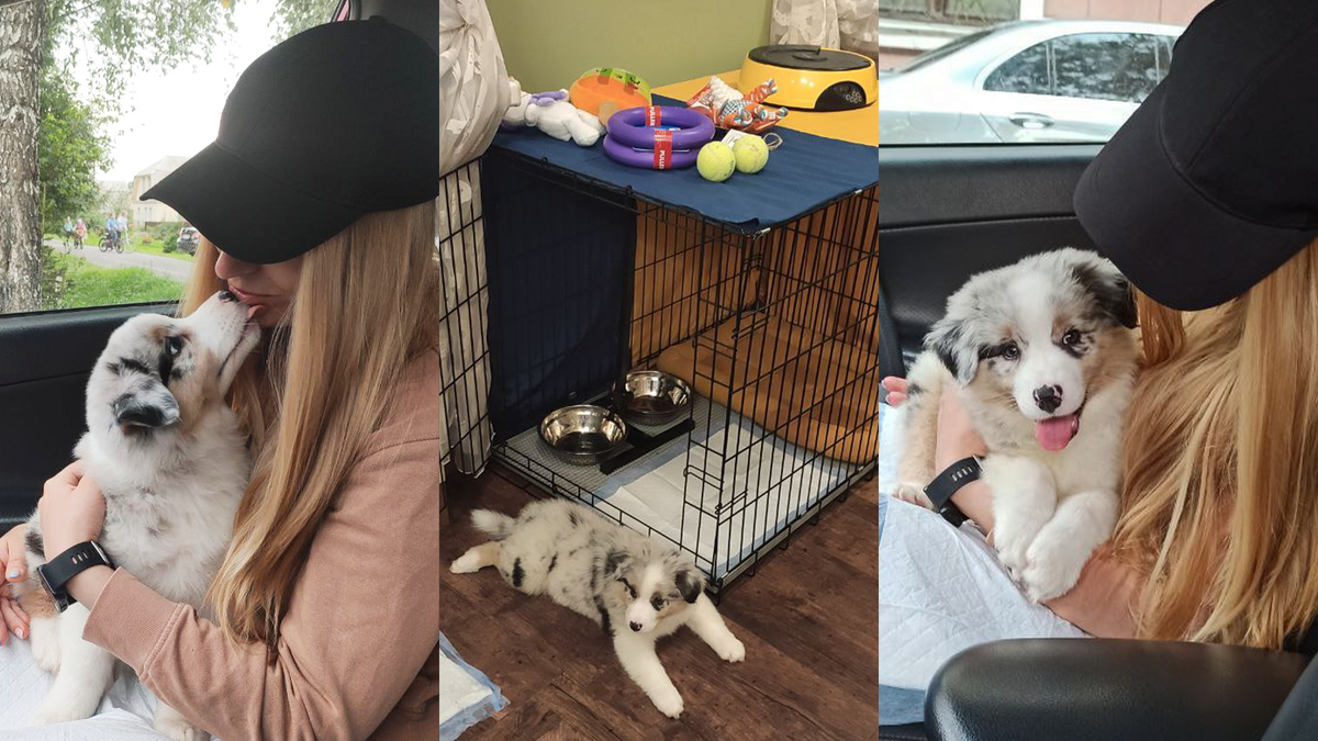 Первый день дома