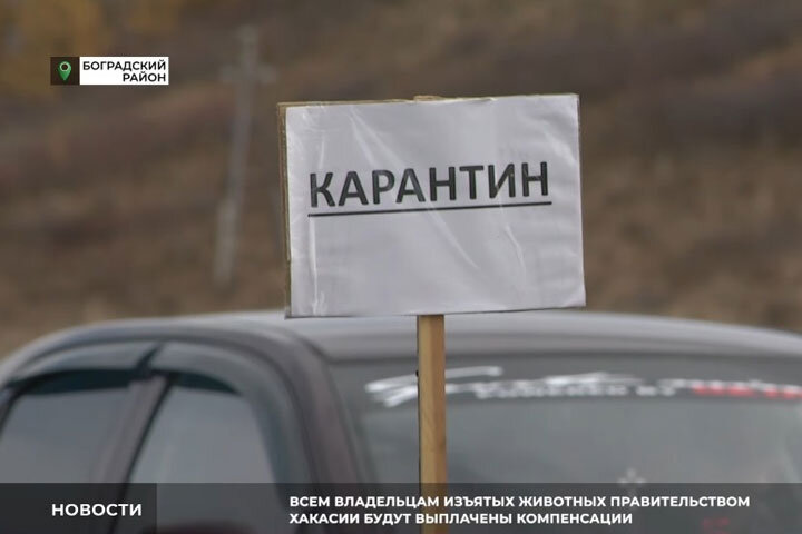 Фото: Cкриншот видео телеканала РТС