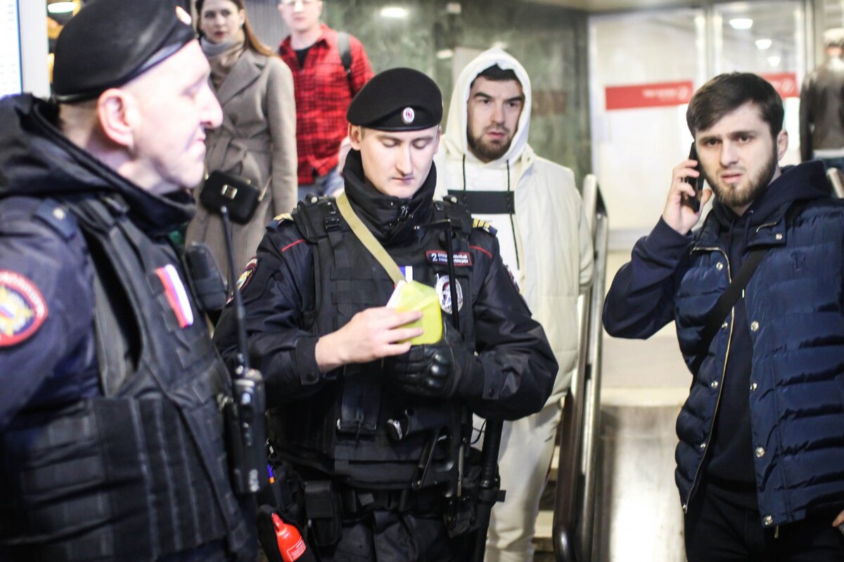 Фото: Илья Тушев / Вести Подмосковья