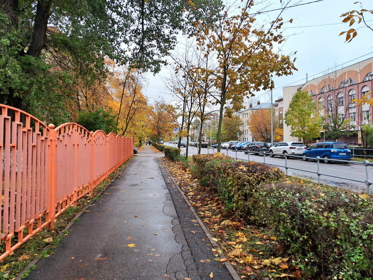 Красивая аллея в Королёве. Мне по ней до конца.