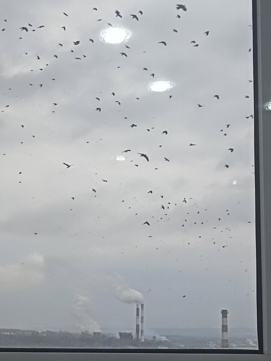 Вид с 15 этажа на пасмурный город Саранск 