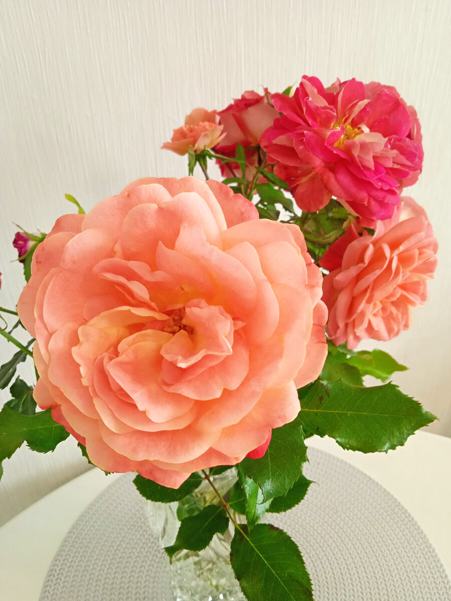 На переднем плане Мидсаммер. Да, да, это она. Раскрылась из бутона. И, видимо, уже не хватило солнце и тепла. Вместо красного цвета выдала персиковый