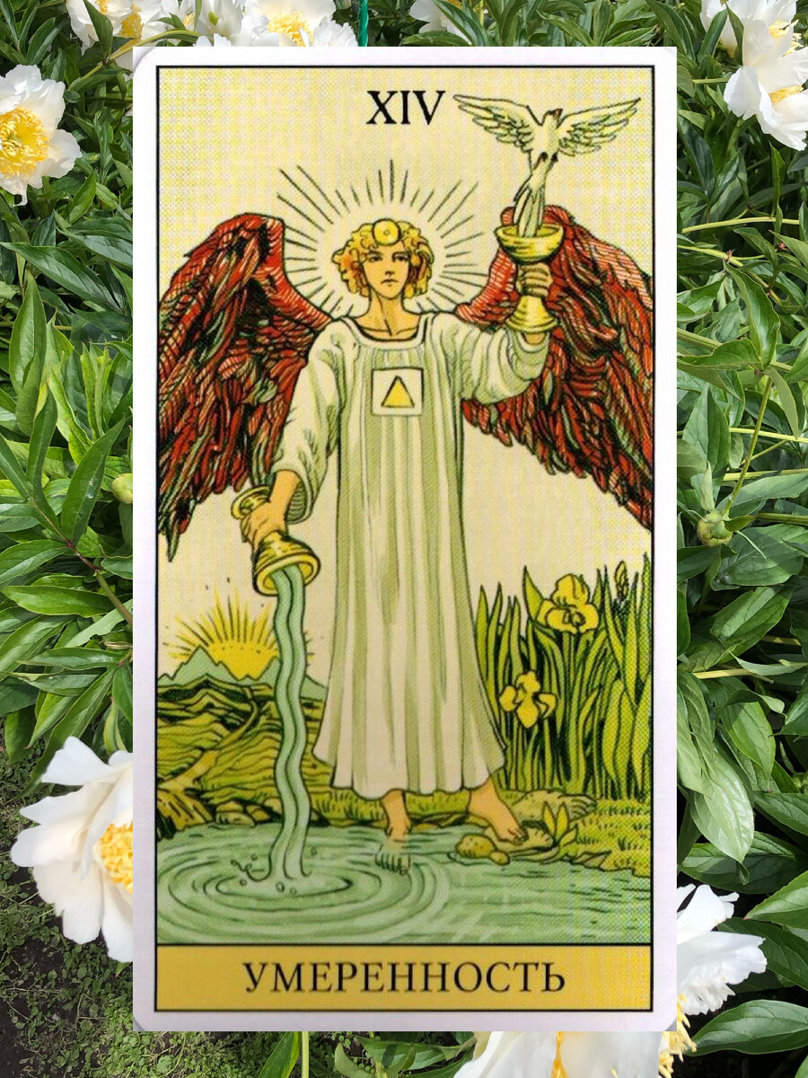 1 марта или туз кубков в таро. Как определять время года в таро? Таро и эзотерик