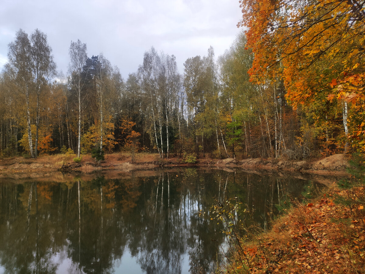 Пожарный пруд в д. Старки
