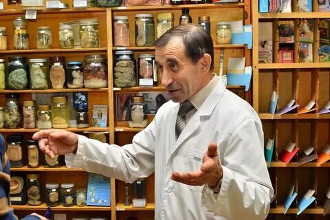 Фото из открытых источников