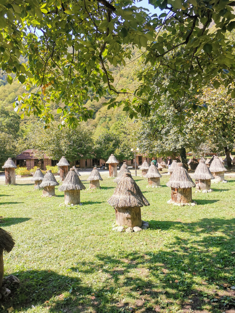 Пасека. Абхазия 