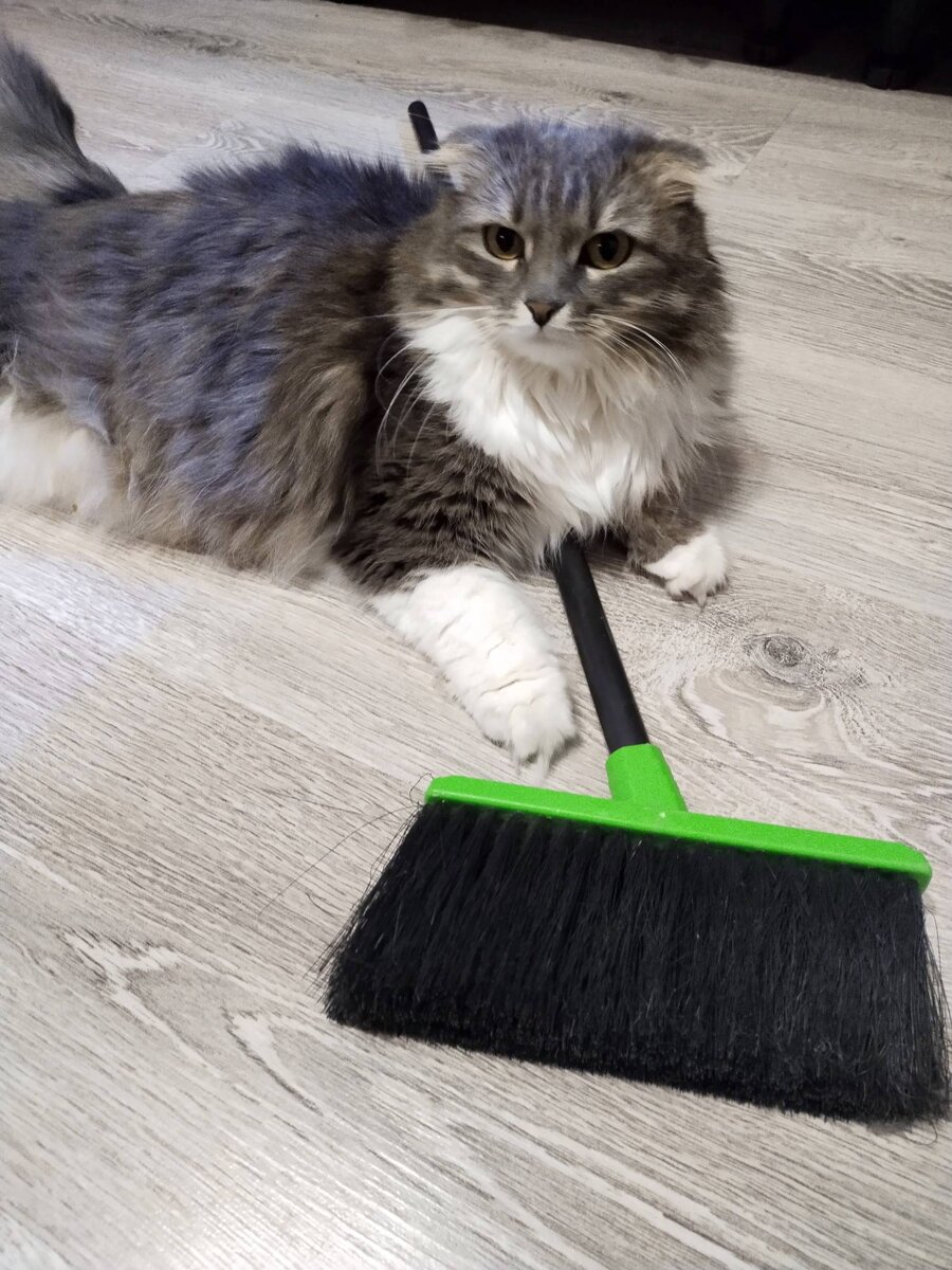 Ведьмы мы, али не ведьмы?