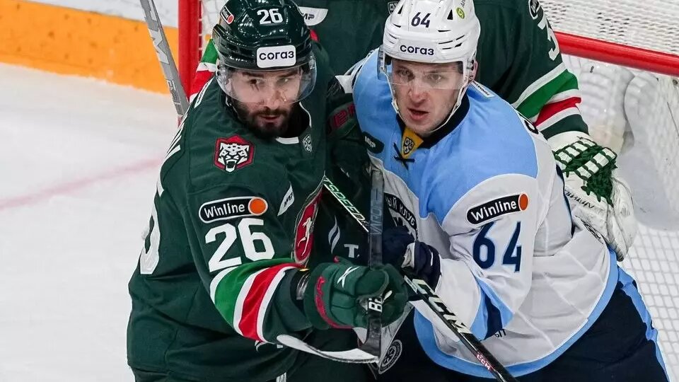     Казанский «Ак Барс» в домашнем матче регулярного чемпионата Континентальной хоккейной лиги (КХЛ) проиграл новосибирской «Сибири» со счетом 2:3.