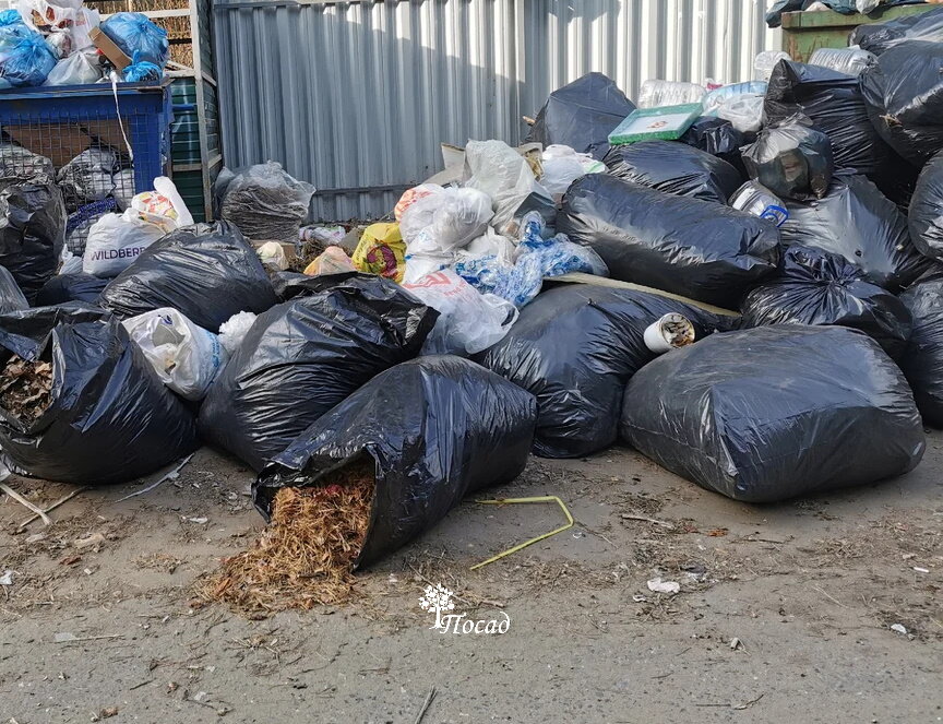 Многие просто вывозят собранные листья на помойку, лишая сад ценного листового перегноя.
