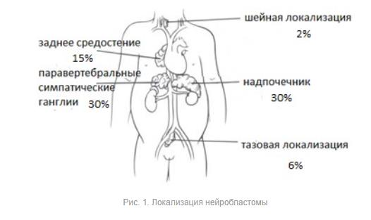 ᐈ Cекс во время ЭКО - хорошая идея? | Медицинский центр 