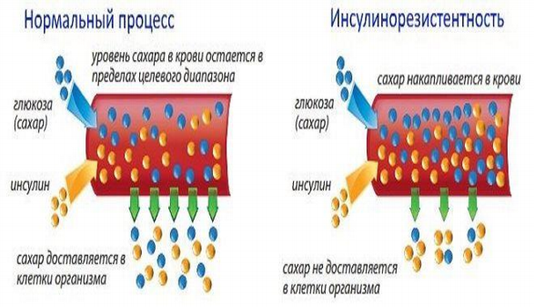 Молоко сестры - часть 13 — порно рассказ