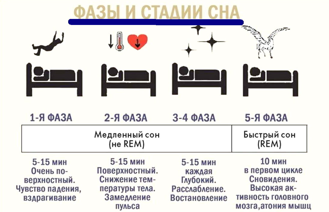 Этот вариант одновременно и сложный и простой. В чём его сложность? Именно в том, что ваше сознание должно быть полностью отключено, все другие варианты будут трансами, дремотой и прочими промежуточными состояниями. А простота будет в том, что здесь на помощь может прийти самый обыкновенный классический гипноз. В глубокой фазе гипнотического сна сознание точно полностью отключено, иначе это будет или не глубокая фаза, или вообще не гипноз. То есть по сути у человека находящегося в третей фазе гипнотического сна – сомнамбулической, соблюдается основное условие сна. И именно под гипнозом есть возможность влиять, контролировать и вести подсознание человека. Таким образом если человеку находящемуся в глубоком гипнотическом сне гипнотизёр скажет, что он видит сон, где человек: плывёт на корабле, находится на райском острове или в прошлом, где ему на 30 лет меньше чем сейчас, именно этот сон человек и будет видеть на все 100%. Ведь сознание этого человека будет полностью отключено и воздействовать на сон могут только слова гипнотизёра.