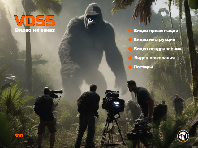 ВДСС студия