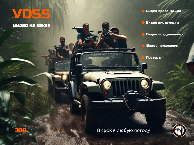 ВДСС студия 