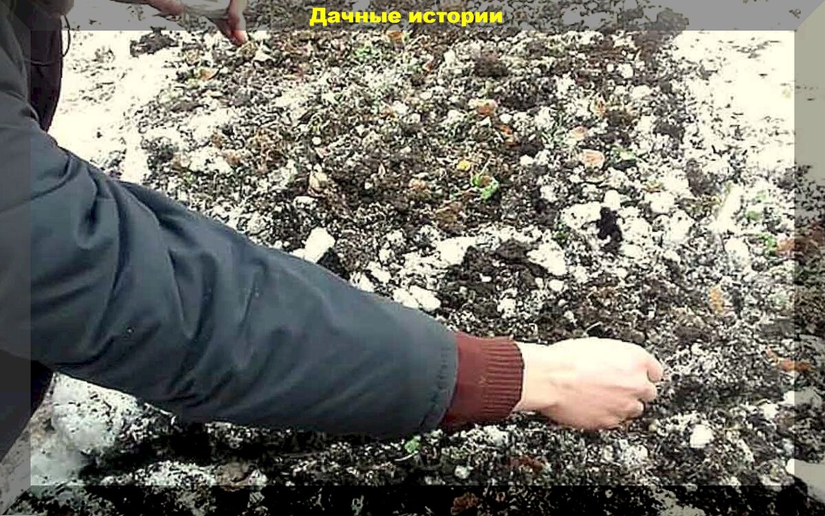 https://vk.com/photo-159774511_457262535