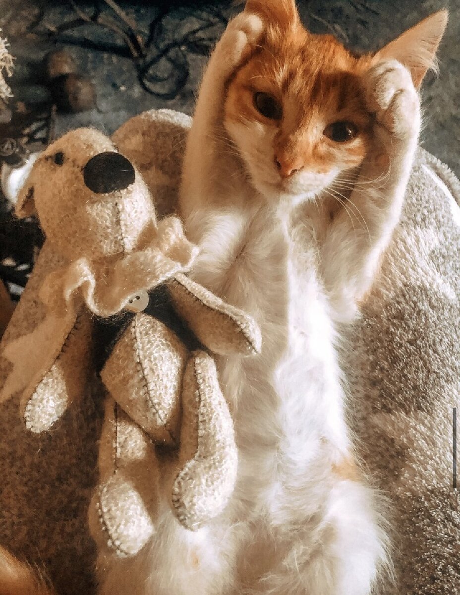 Из-за больших глаз Коржик был похож на инопланетянина 