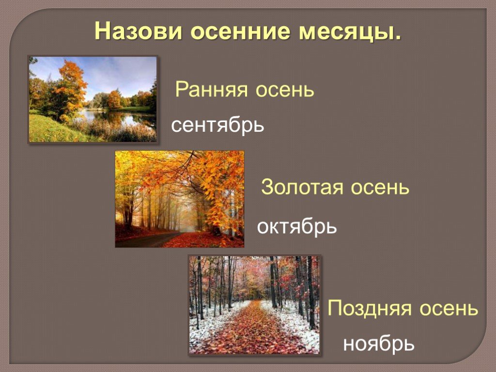 Слова связанные с поздней осенью. Осенние месяцы. Презентация поздняя осень. Сентябрь октябрь ноябрь осенние месяцы. Ранняя и поздняя осень.