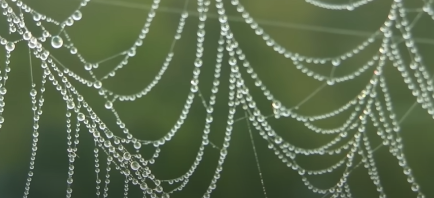 Паутина как "Алмазная сеть Индры"