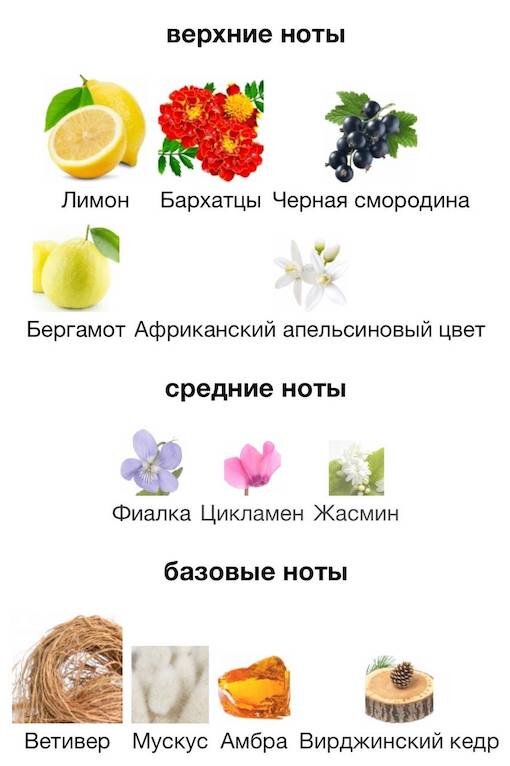 Изображение взято с сайта https://www.fragrantica.ru