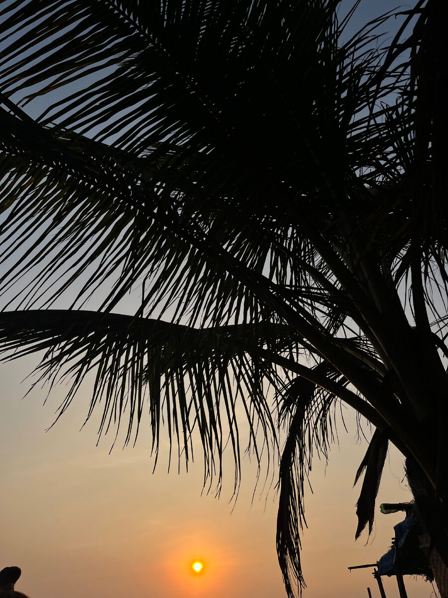 Кстати, это фото сделано на пляже ГОА , Индия очень колоритное место , где можно познать своё истинное Я 