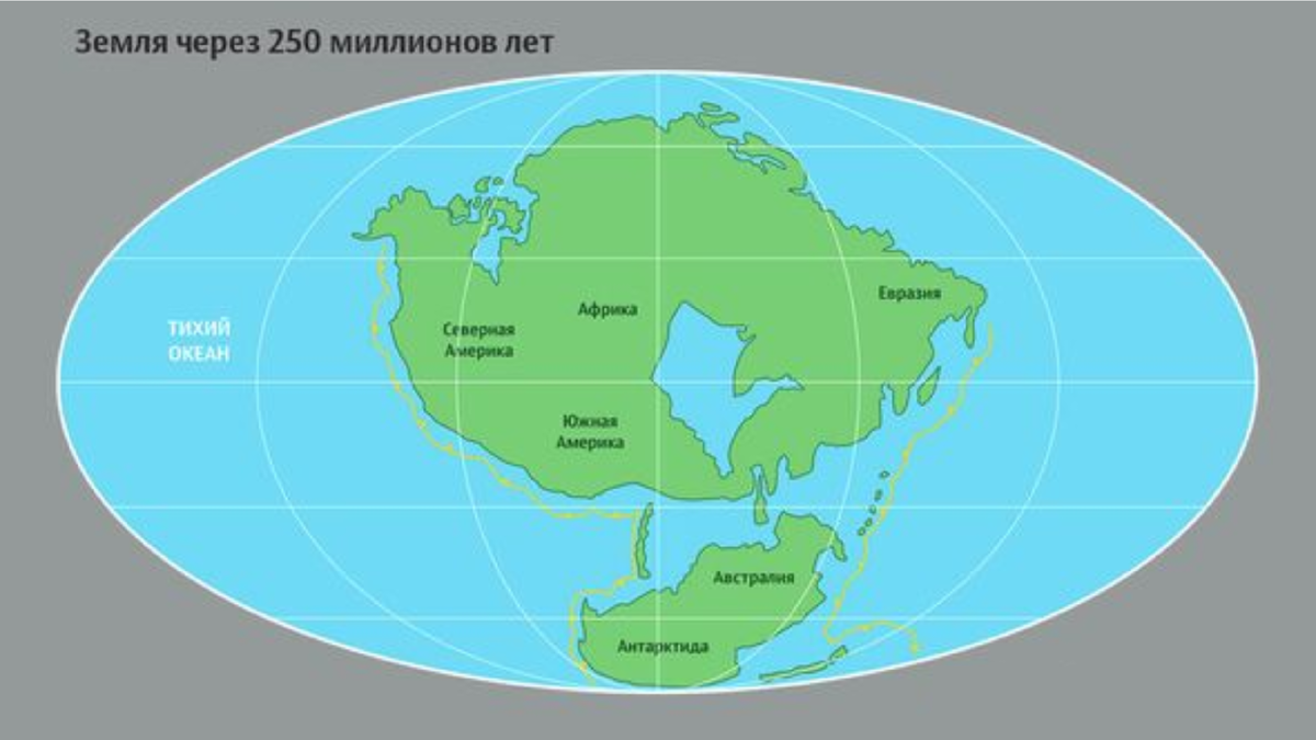 Самый северный материк нашей планеты. Суперконтинент Пангея УЛЬТИМА. Пангея УЛЬТИМА материк. Континент Пангея 200 млн лет назад. Расположение материков в будущем