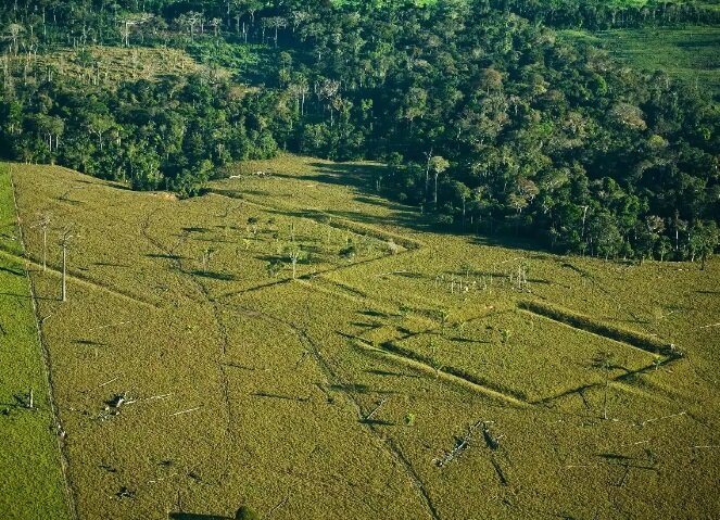 Археологи, используя современные технологии дистанционного зондирования в сочетании со статистическим моделированием, пришли к выводу, что под пологом тропических лесов Амазонки скрыто более 10000...