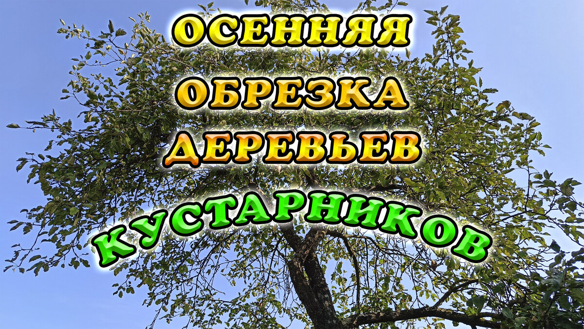 Фото автора. Захотел и сделал.