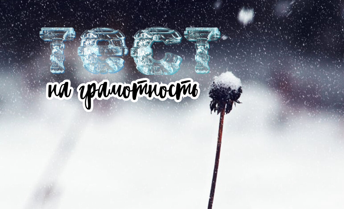 Тест на грамотность | тесты по русскому языку
