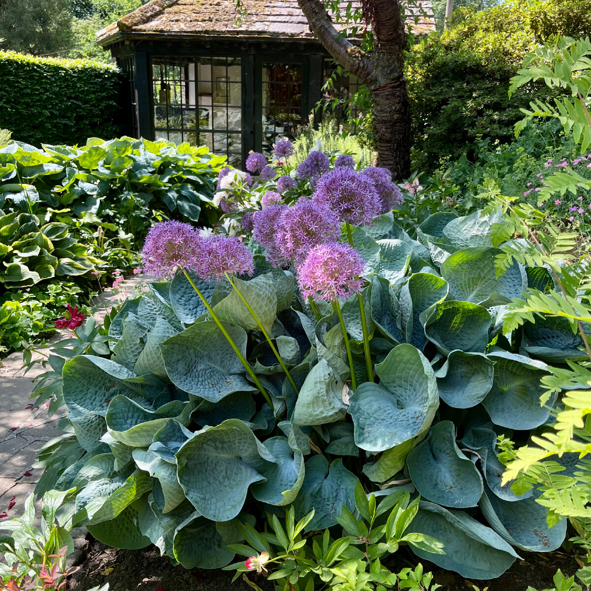 Сад Parcevall Hall