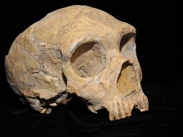    © CC BY-SA 3.0 / AquilaGib